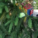 phoca_thumb_m_indini  33 Fotogalerie